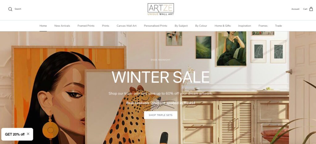 Artze Shopify art store
